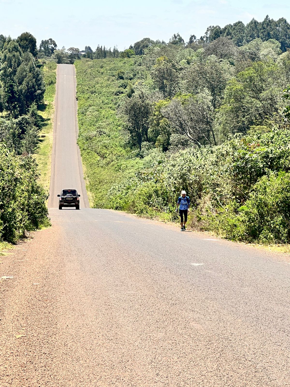 M2M 5th Edition - Mountain Views